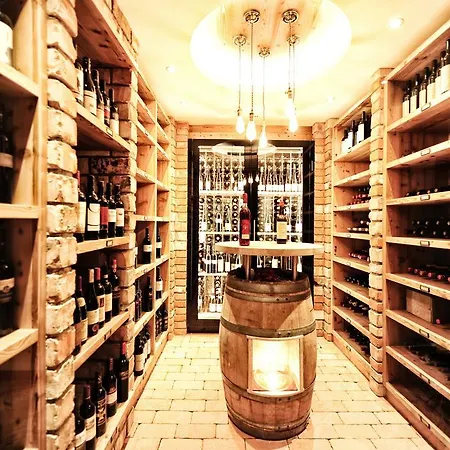 酒店 阿尼卡酒店 4*