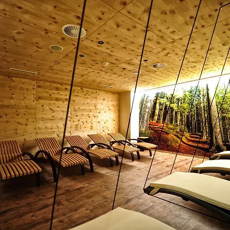 Arnika Hotel 4*
